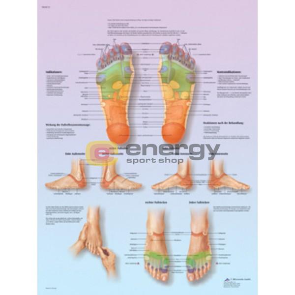 PLAKÁT REFLEXNÉ BODY CHODIDLA