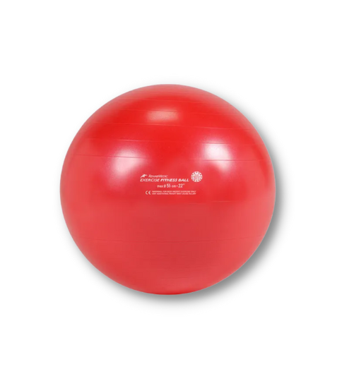 Fitness ball- fit míč 55 cm